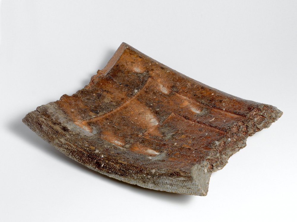 ryuichi Kakurezaki Platter Una Mistura