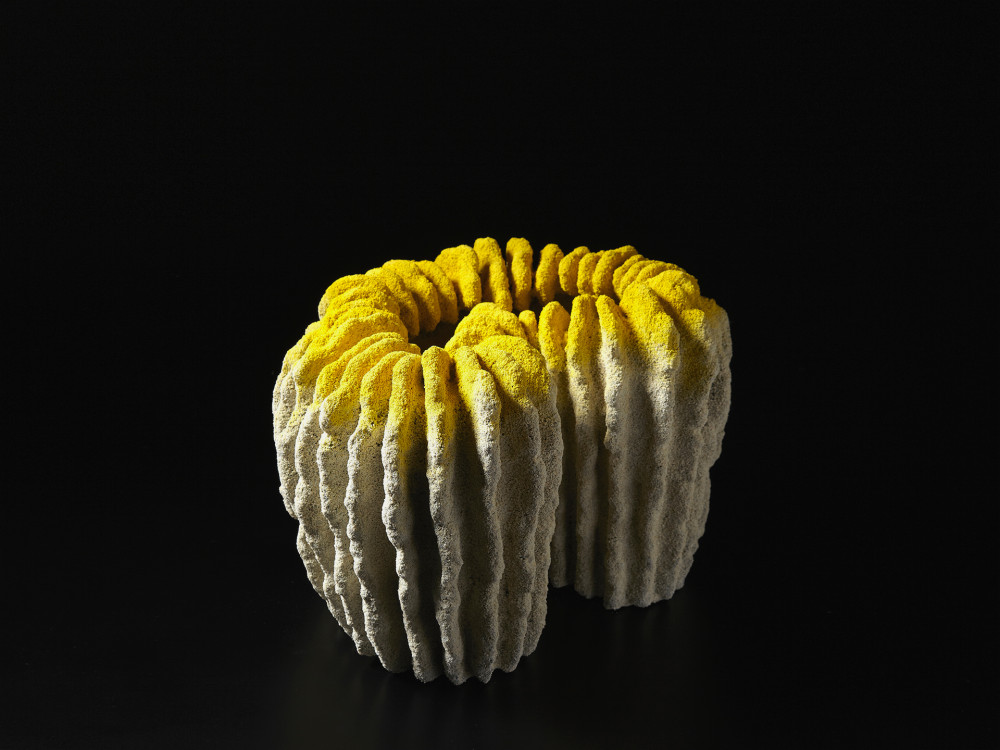Katsumata yellow
