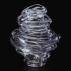 collect. 2009